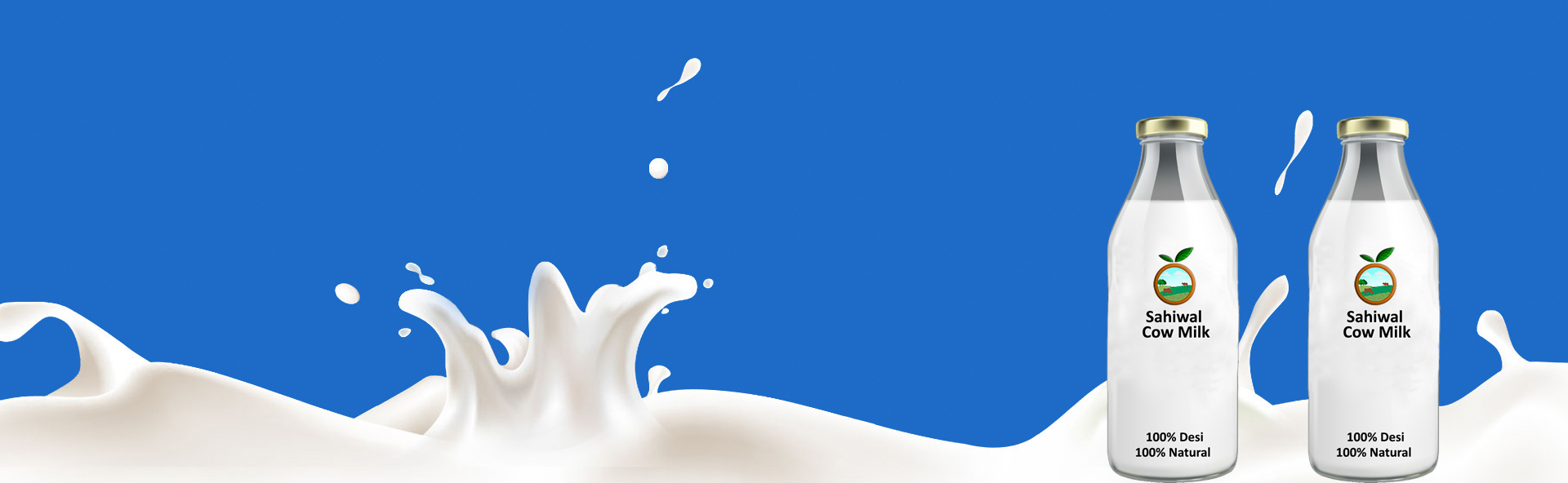 Fresh Natural Paneer